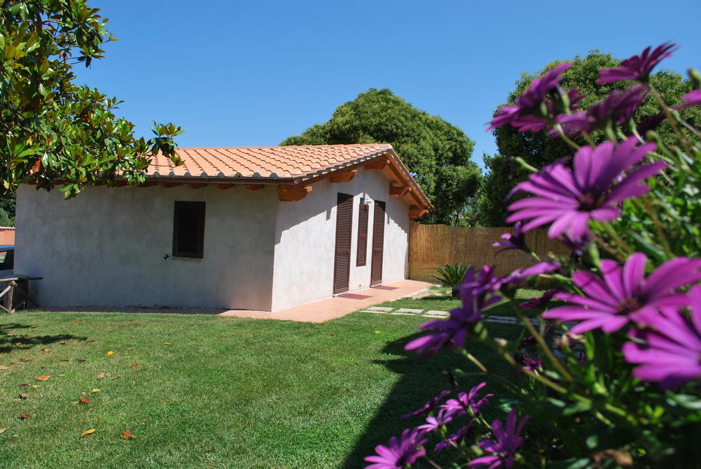 Agriturismo La Valle Di Ceri Cerveteri Dış mekan fotoğraf